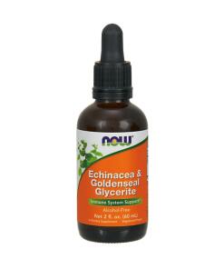 NOW Foods - Echinacea & Goldenseal Glycerite - 60 ml.