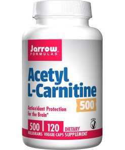 Acetyl L-Carnitine