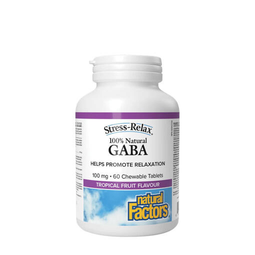 Natural Factors - Natural Factors 100% Natural GABA 100 mg (60 Chewables