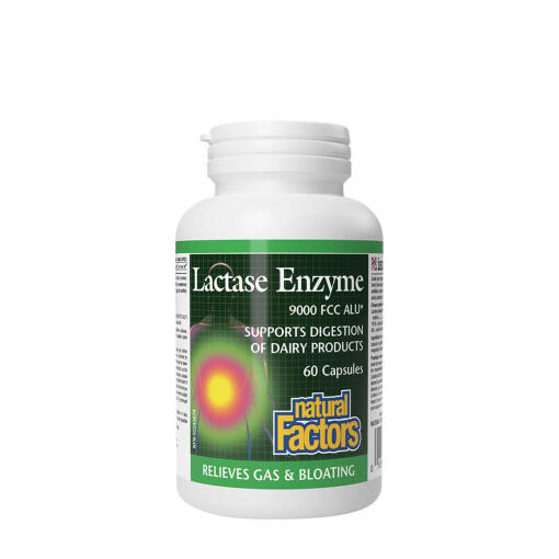 Natural Factors - Natural Factors Lactase Enzyme (60 Capsules)