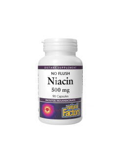 Natural Factors - Natural Factors Niacin 500 mg  (90 Capsules)