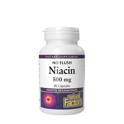 Natural Factors - Natural Factors Niacin 500 mg  (90 Capsules)