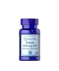 Puritan's Pride - Puritan's Pride Folic Acid 400 mcg (250 Tablets)