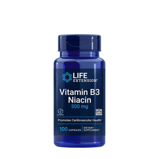 Life Extension - Vitamin B3 Niacin