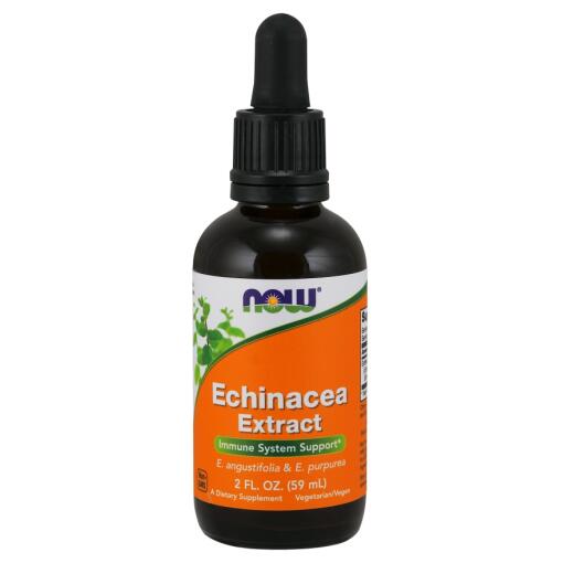 NOW Foods - Echinacea Extract - 59 ml.