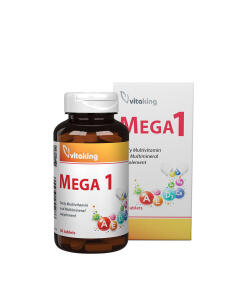 Vitaking - Vitaking Mega-1 Multivitamin (30 Tablets)