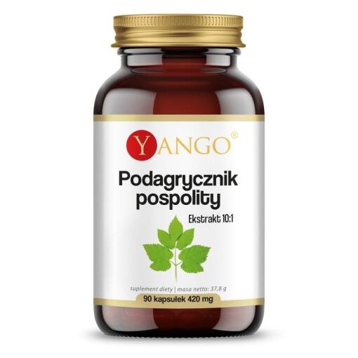Yango - YANGO Aegopodium podagraria (90 caps)
