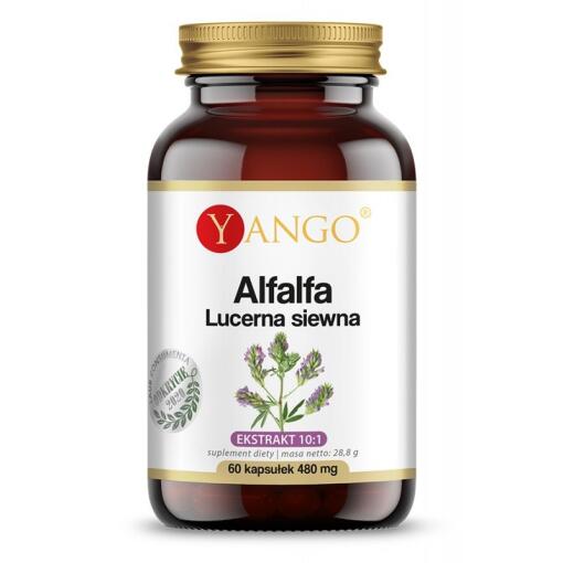 Yango - YANGO Alfalfa (60 caps)
