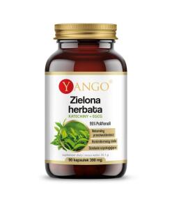 Yango - YANGO Green tea - 95% polyphenols - Catechin + EGCG (90 caps)
