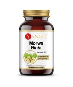 Yango - YANGO White mulberry - extract (60 caps)