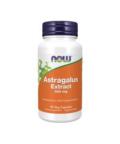 NOW Foods - Astragalus Extract