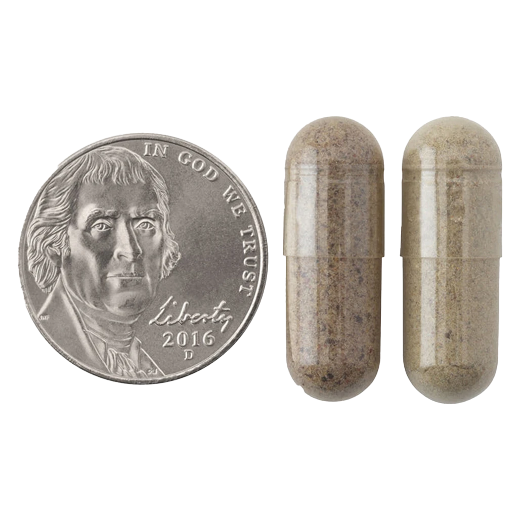 JuiceFestiv, Daily Fruits & Veggie - 60 + 60 caps - Image 5