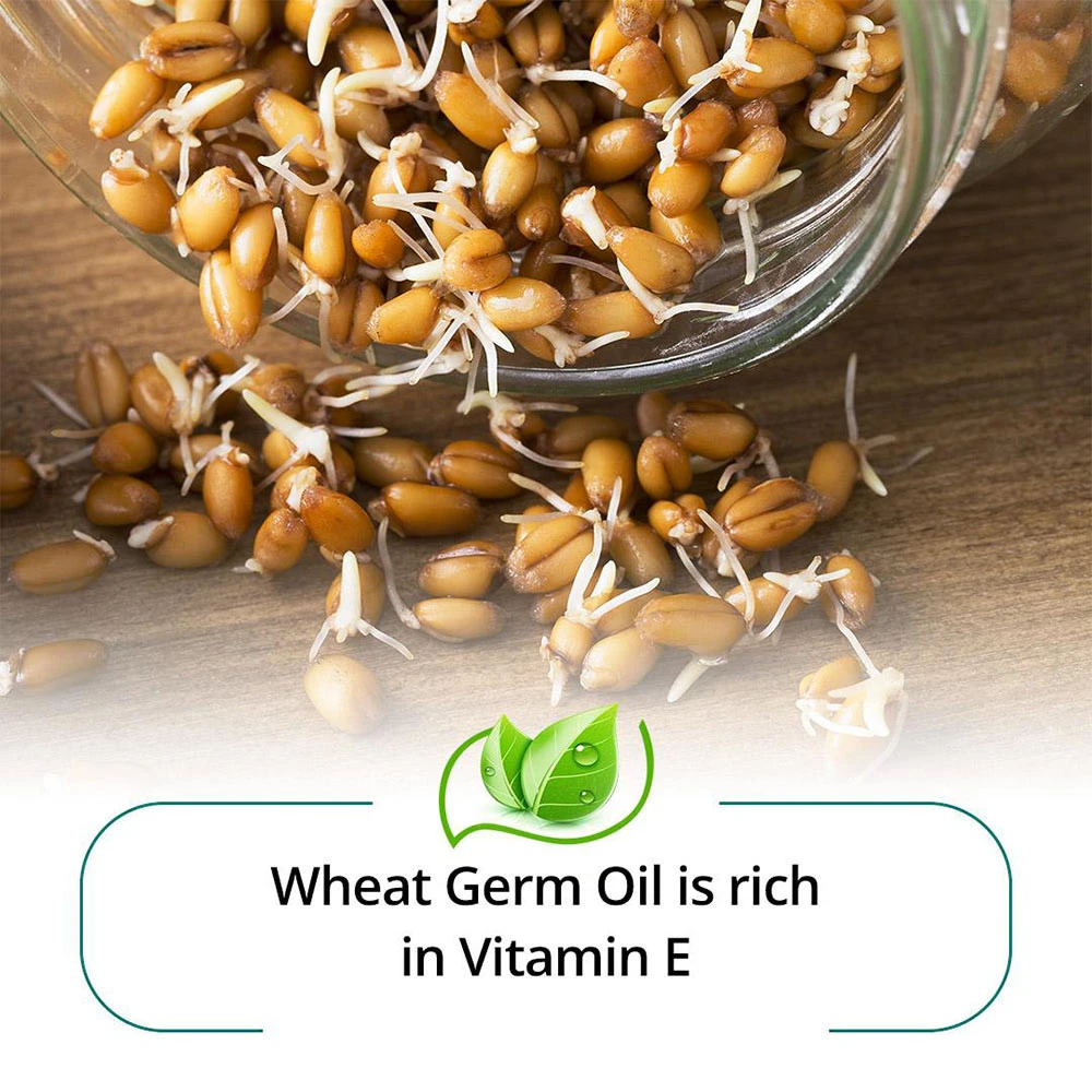 Sabão Hidratante de Amêndoa - 75g - Image 7