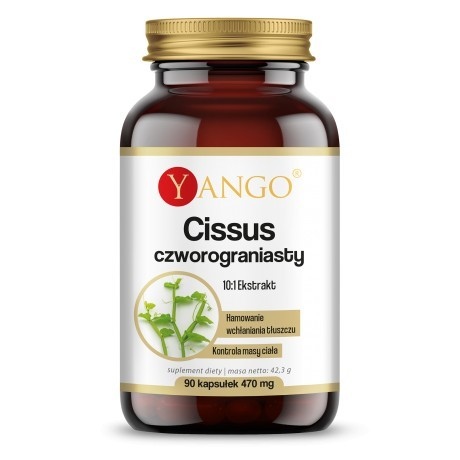 Yango - YANGO Cissus quadrangularis (90 caps)