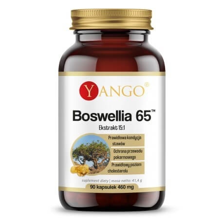 Yango - YANGO Boswellia 65 (90 caps)