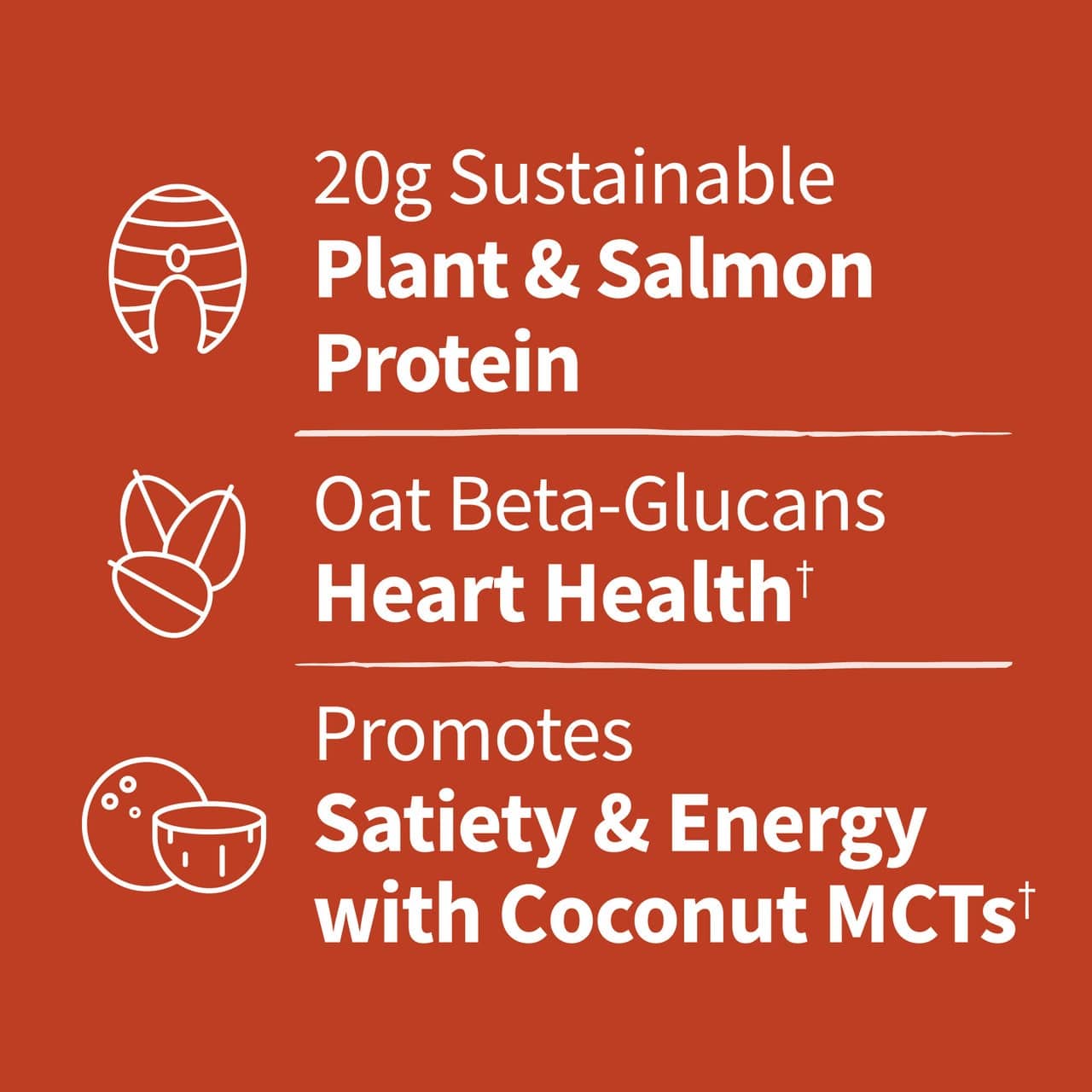Dr. Formulado MD Protein Plant & Sustainable Salmon Powder, Rich Chocolate - 686g - Image 5