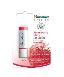 Himalaya - Suplementos saudáveis