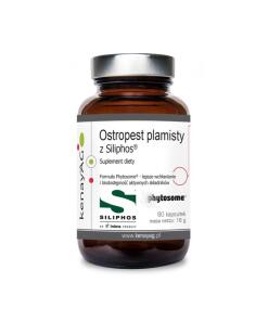 Kenay - Suplementos saudáveis