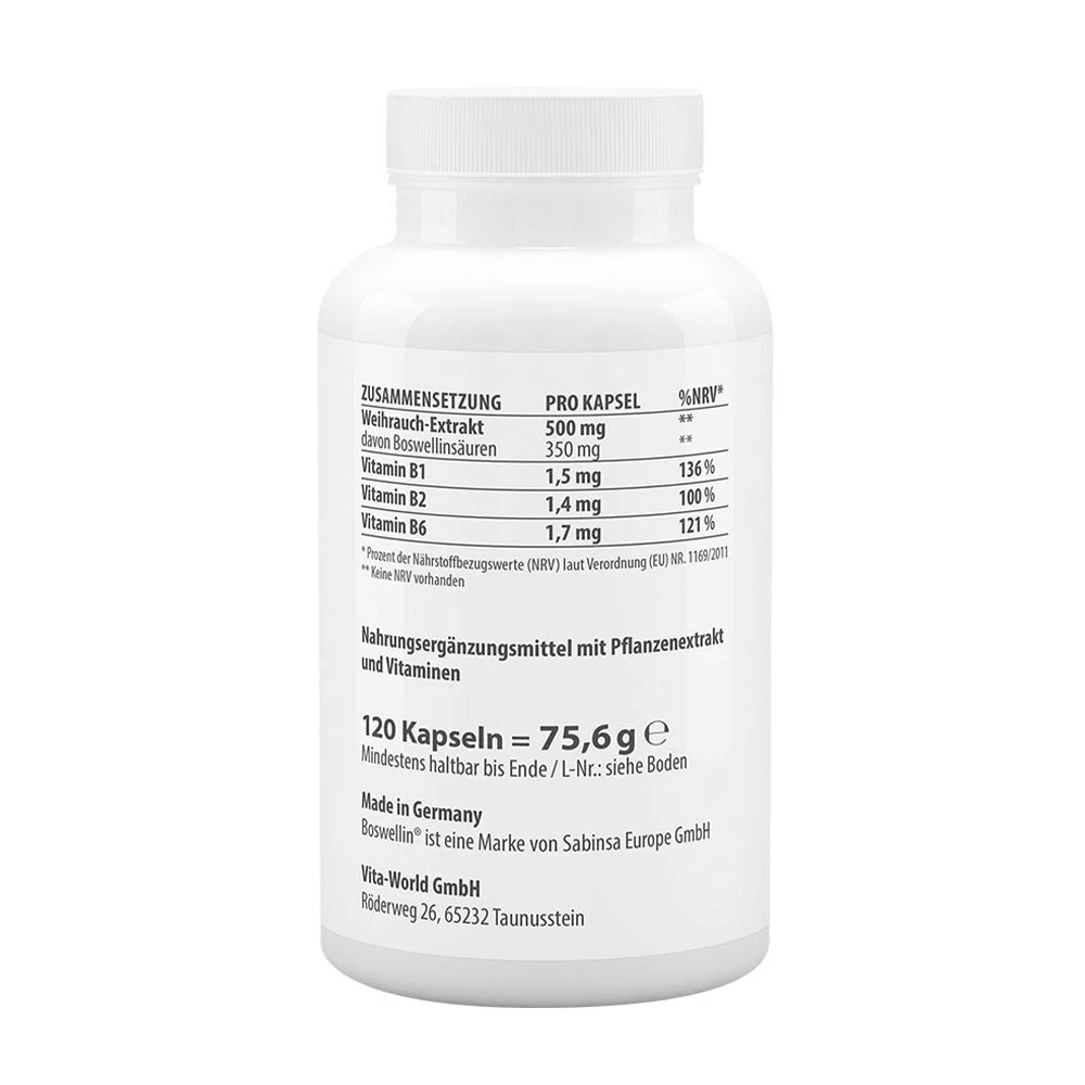 Vitaworld - Incenso 500 mg (120 Cápsulas) - Image 2