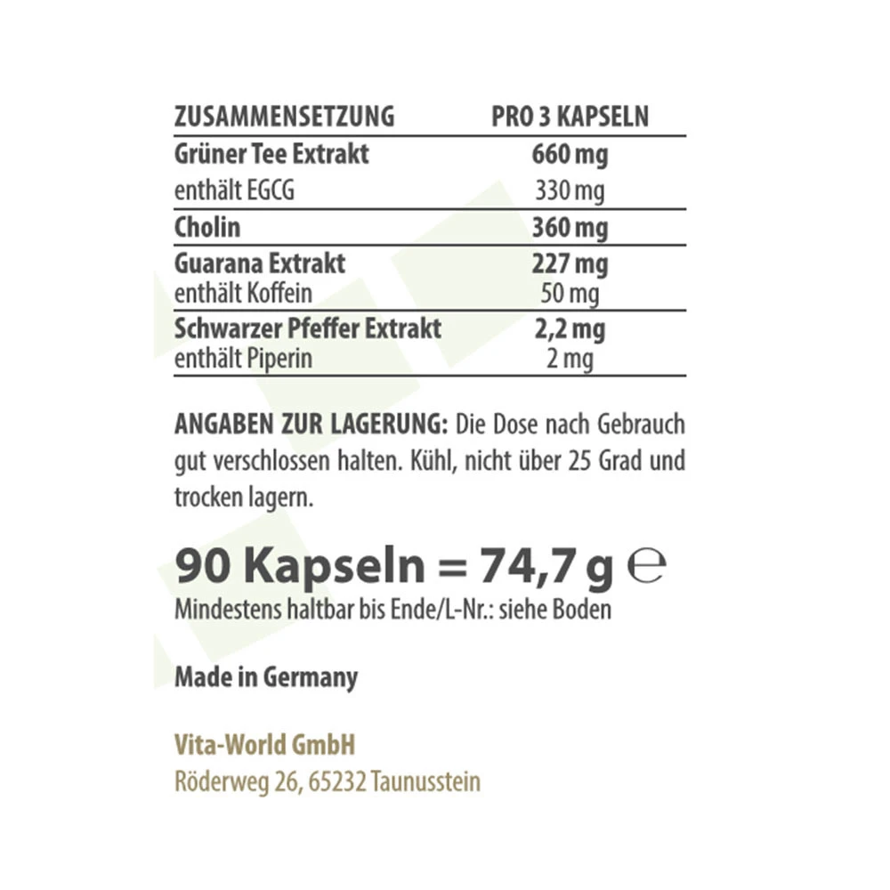 Vitaworld - Metabolismo Vital (90 Cápsulas) - Image 2
